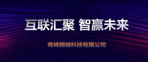 “互聯(lián)聚匯，智贏未來” 2019焦作青峰全網(wǎng)合作峰會***成功！